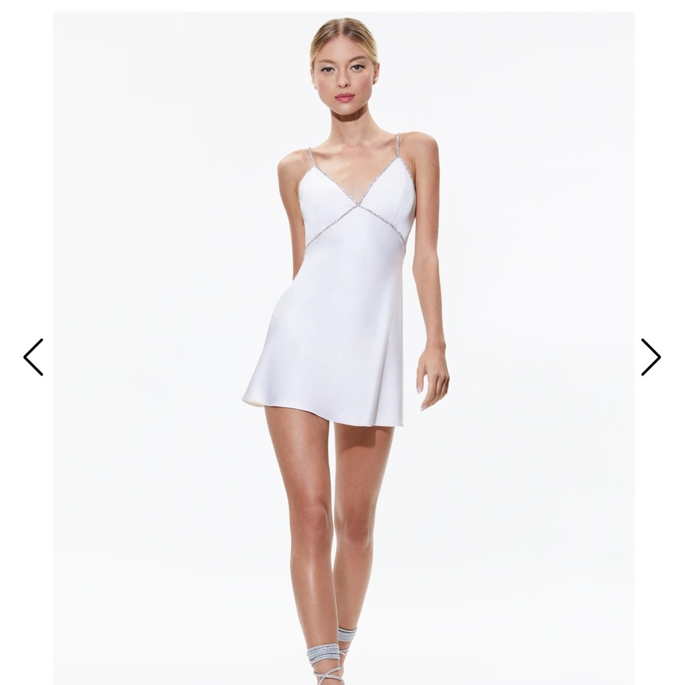 ALICE AND OLIVIA, Size 2, V-Neck Mini Dress **ONLY WORN ONCE**